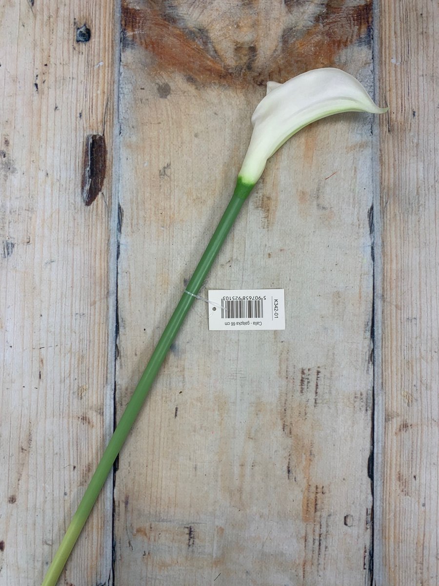 Калла latex K342  Интернет-магазин Feron Flower 