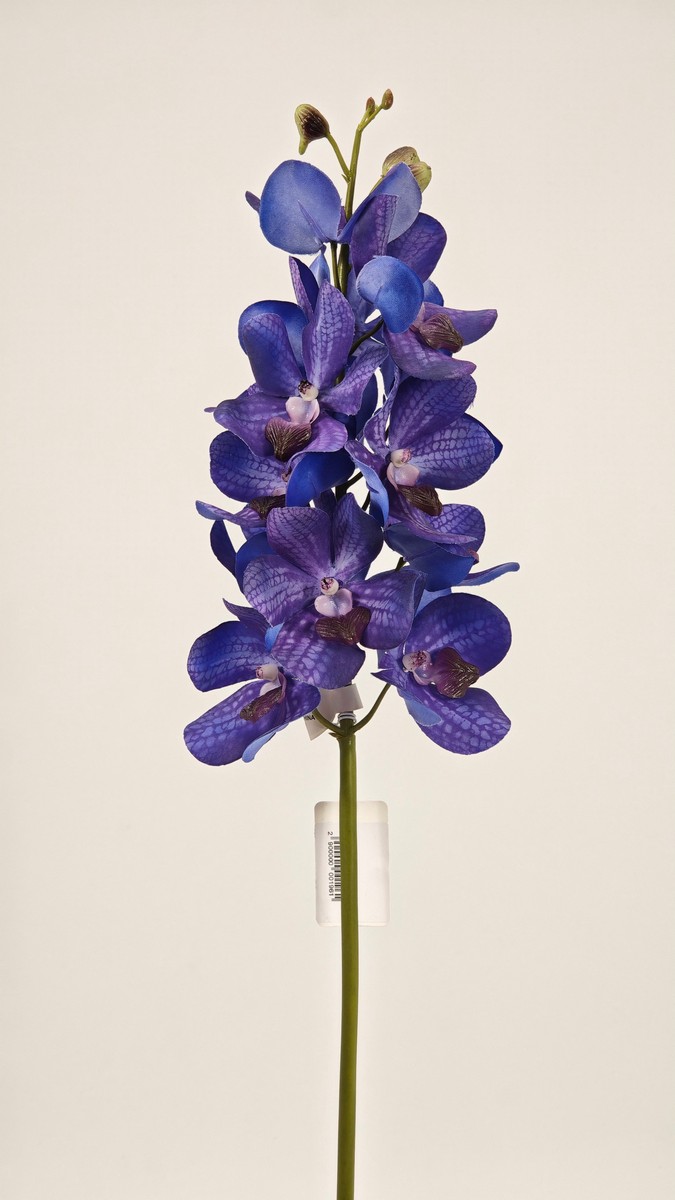 Орхидея REN-213 фиолетовый  Интернет-магазин Feron Flower 