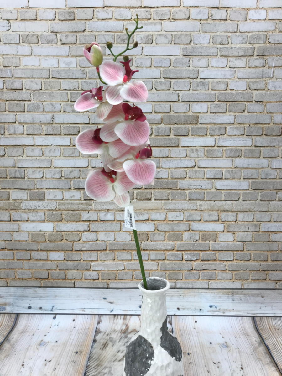 Орхидея KLM1060  Интернет-магазин Feron Flower 