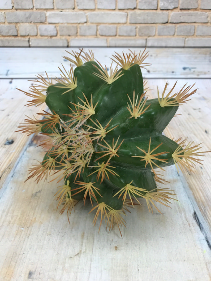 Кактус 193CAN70253  Интернет-магазин Feron Flower 