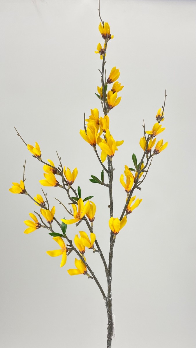 Форзиция FL-QH040  Интернет-магазин Feron Flower 