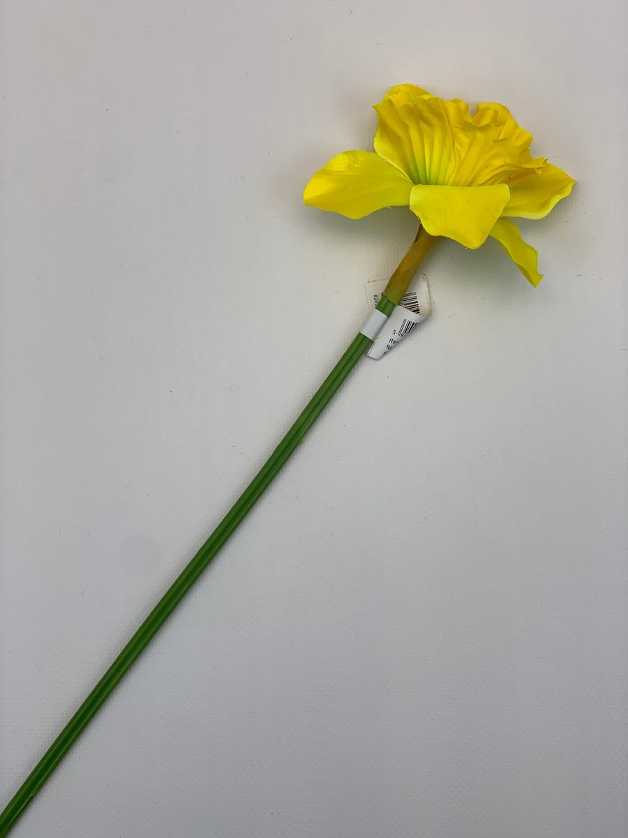 Нарцисс SUN410  Интернет-магазин Feron Flower 