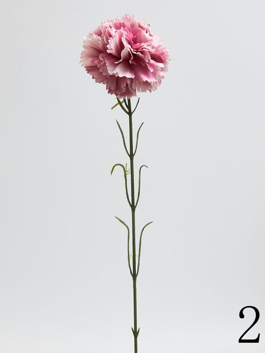 Гвоздика K396  Интернет-магазин Feron Flower 