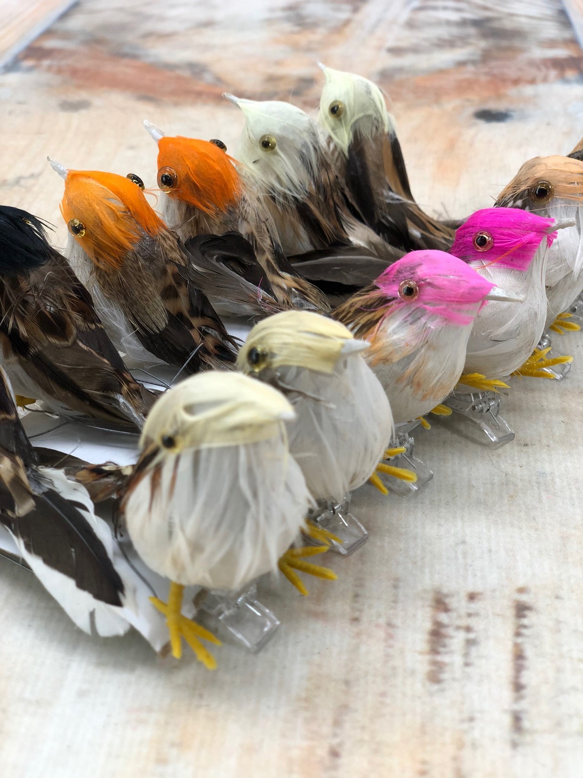 Птичка PM053 12 шт.  Интернет-магазин Feron Flower 