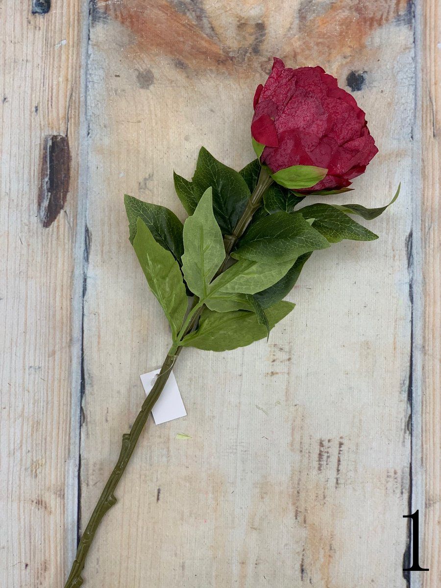 Пион VIP2135  Интернет-магазин Feron Flower 