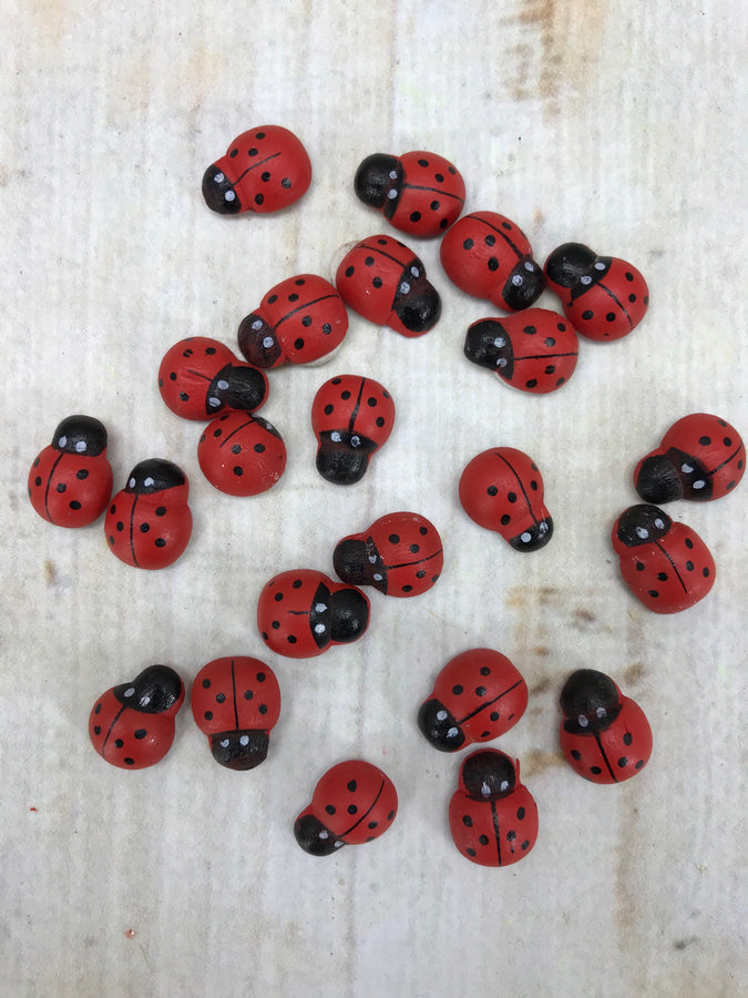 Божья коровка лип. №1  Интернет-магазин Feron Flower 