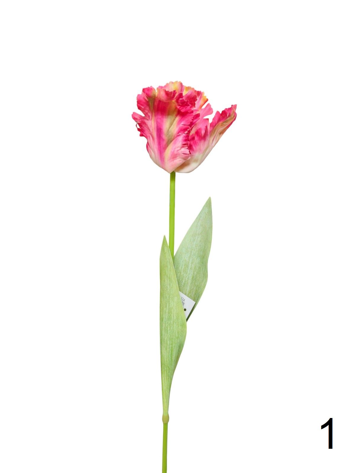 Тюльпан 9144-1324  Интернет-магазин Feron Flower 