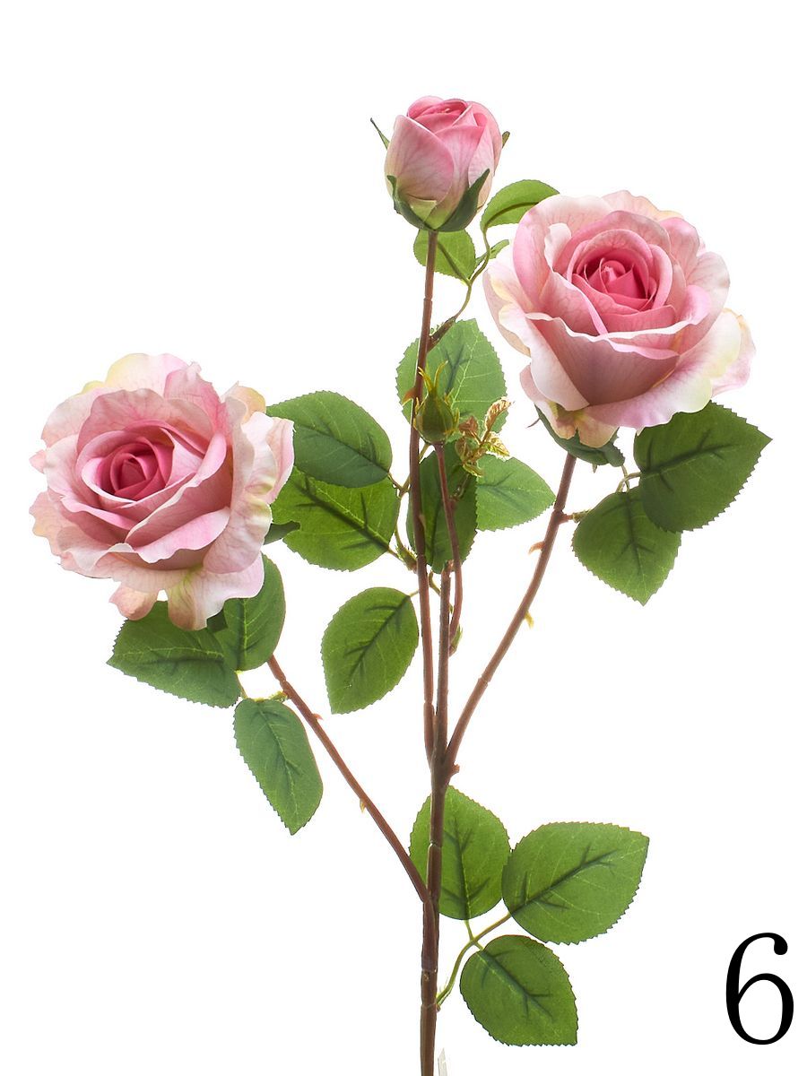 Роза HD9198  Интернет-магазин Feron Flower 