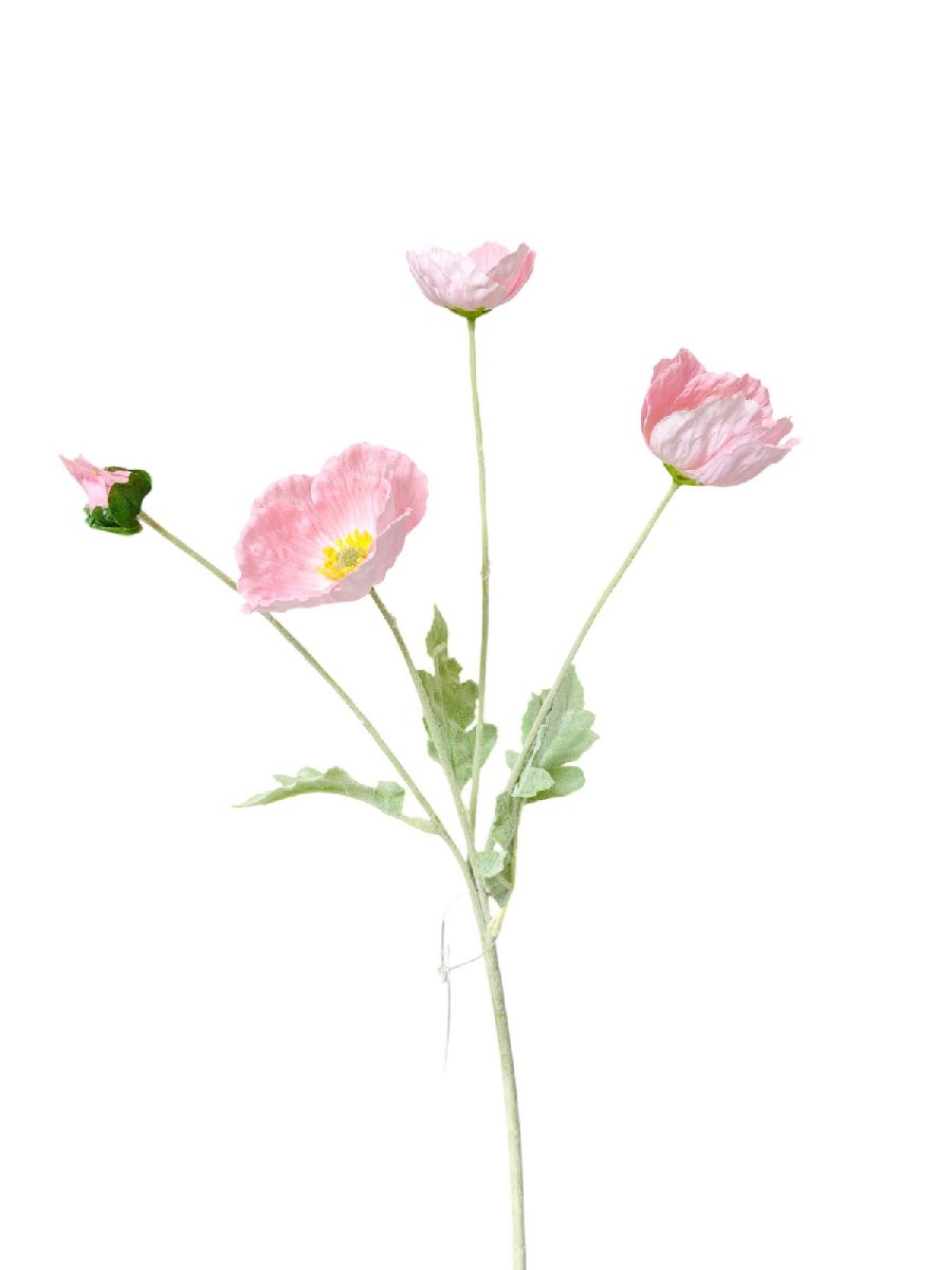 Мак 9144-1318  Интернет-магазин Feron Flower 