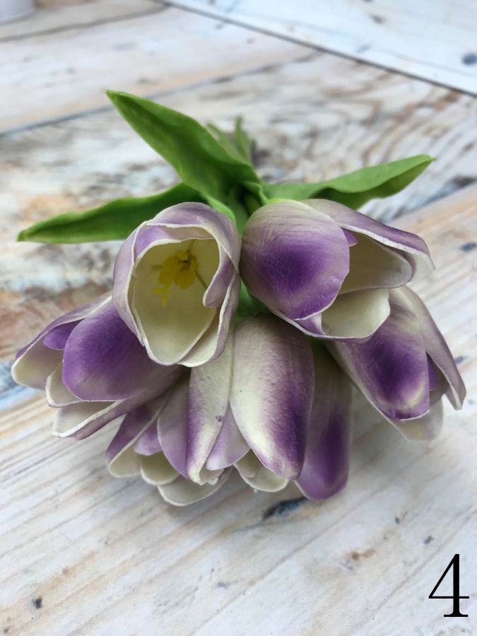 Тюльпан 81CAN056  Интернет-магазин Feron Flower 