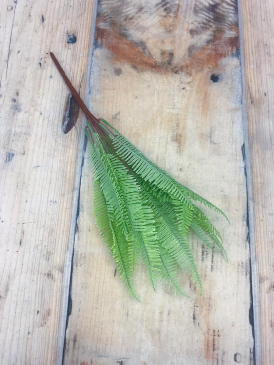 Папоротник K7L0267  Интернет-магазин Feron Flower 