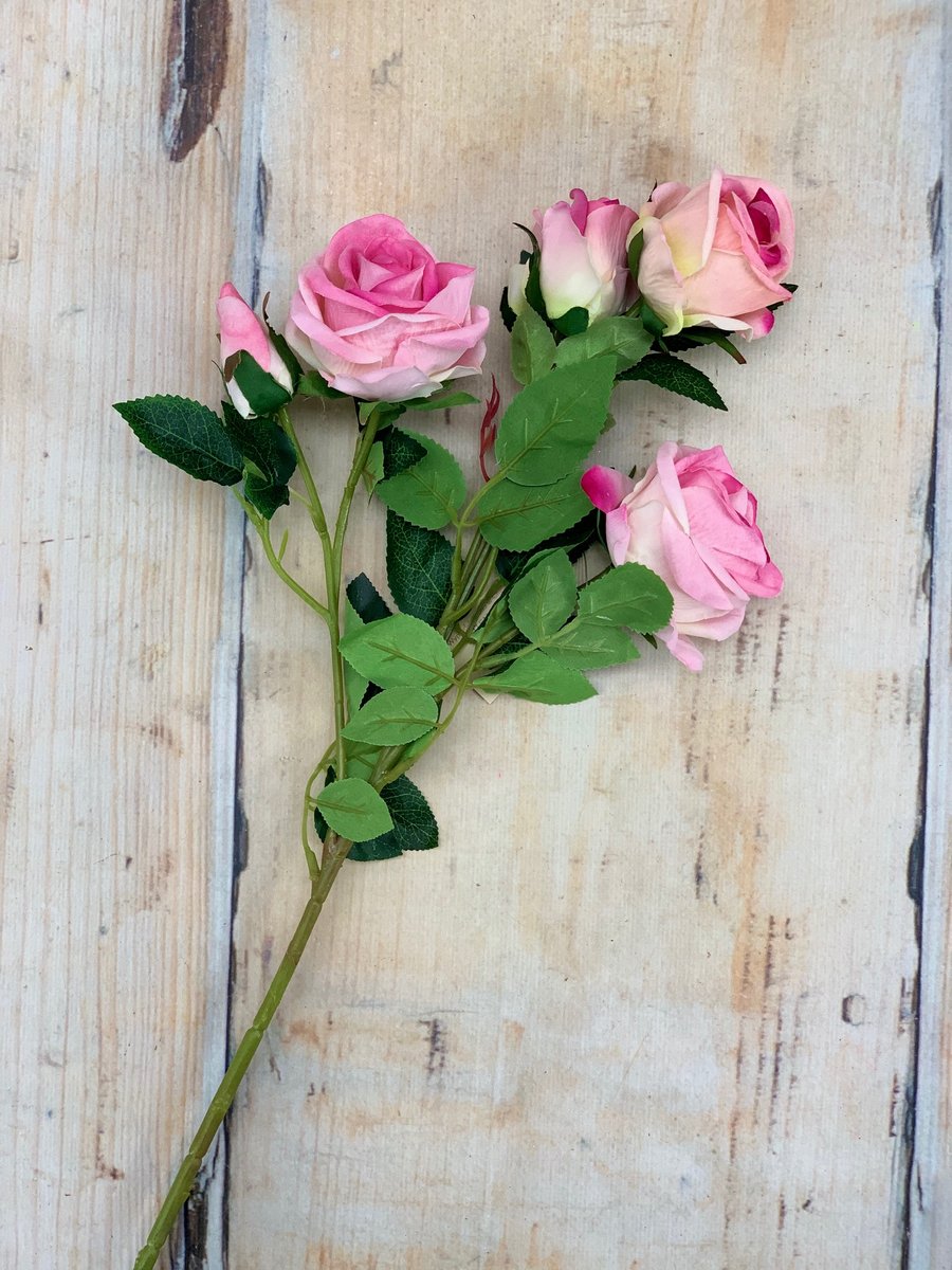 Роза 20KL0027  Интернет-магазин Feron Flower 