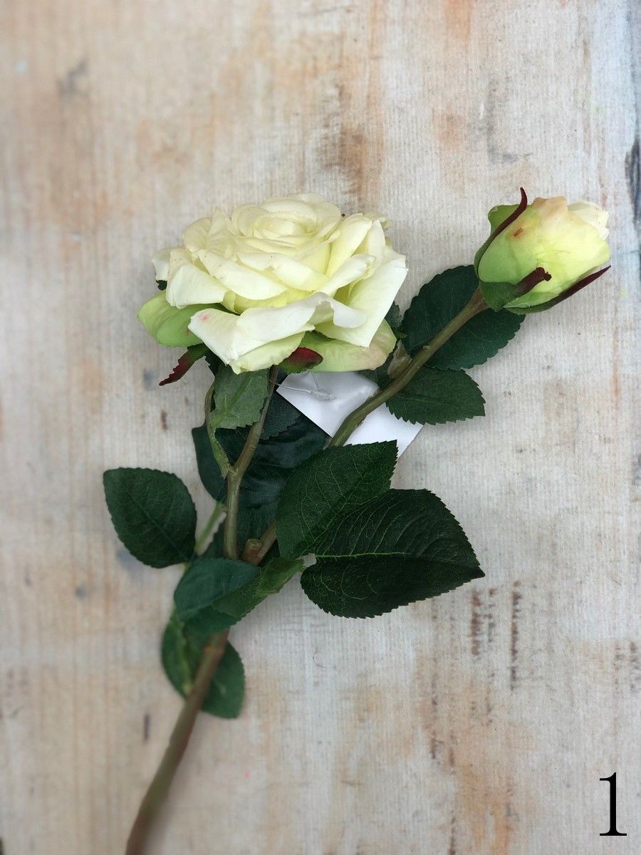 Роза VIP921  Интернет-магазин Feron Flower 