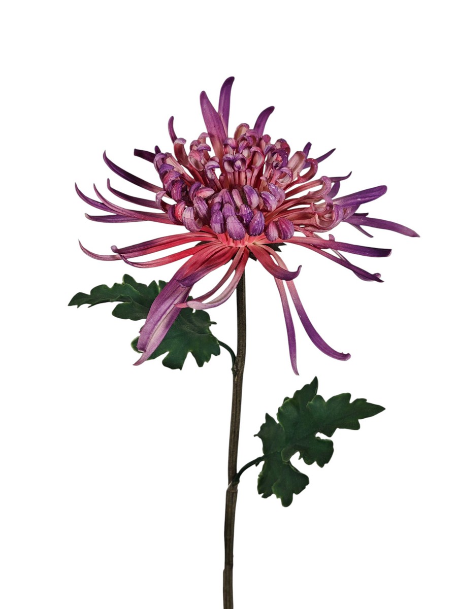 Хризантема FL-QH065  Интернет-магазин Feron Flower 