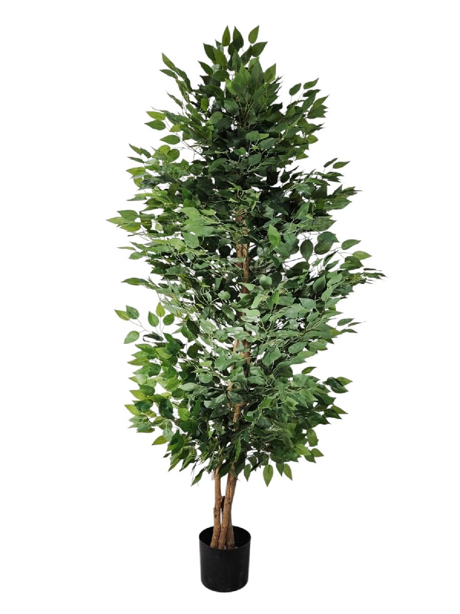 Фикус дерево FL-QH141  Интернет-магазин Feron Flower 