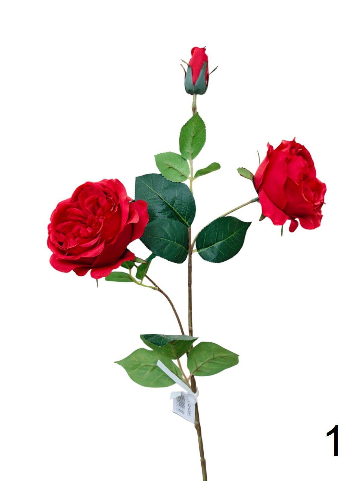 Роза кустовая FL-QH005  Интернет-магазин Feron Flower 