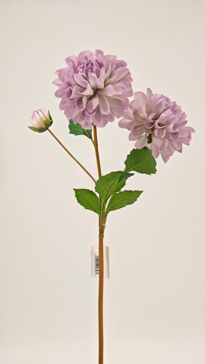 Хризантема REN-234 сиреневый   Интернет-магазин Feron Flower 