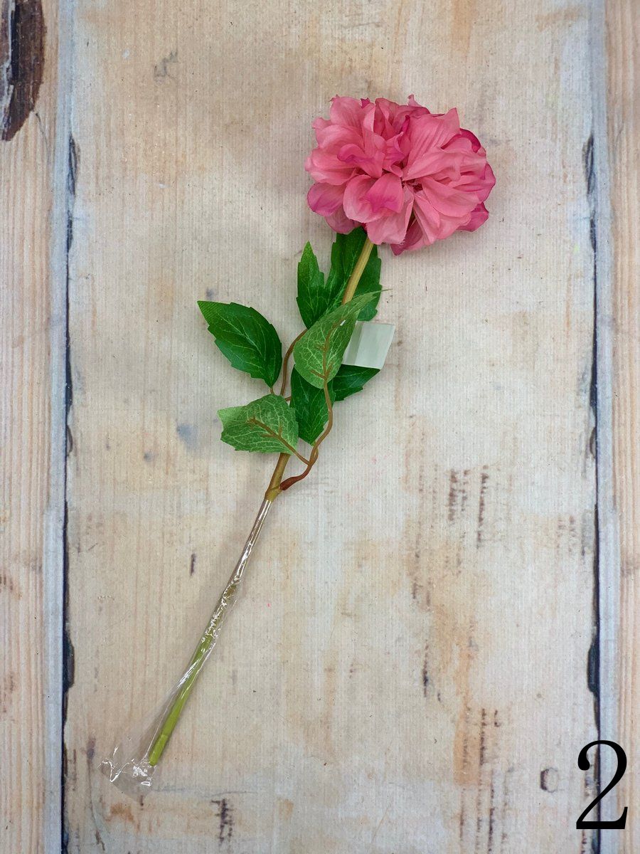 Далия 54467  Интернет-магазин Feron Flower 