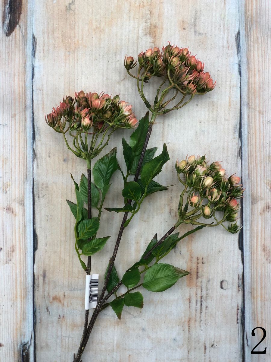 Зелень DK001  Интернет-магазин Feron Flower 