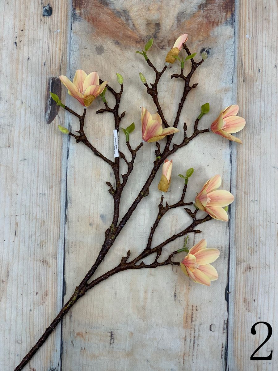 Магнолия GK912  Интернет-магазин Feron Flower 