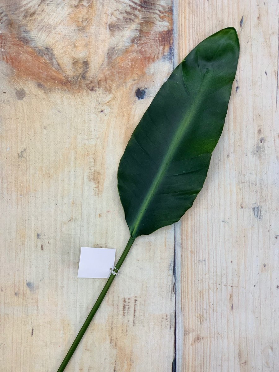 Лист LI00481  Интернет-магазин Feron Flower 
