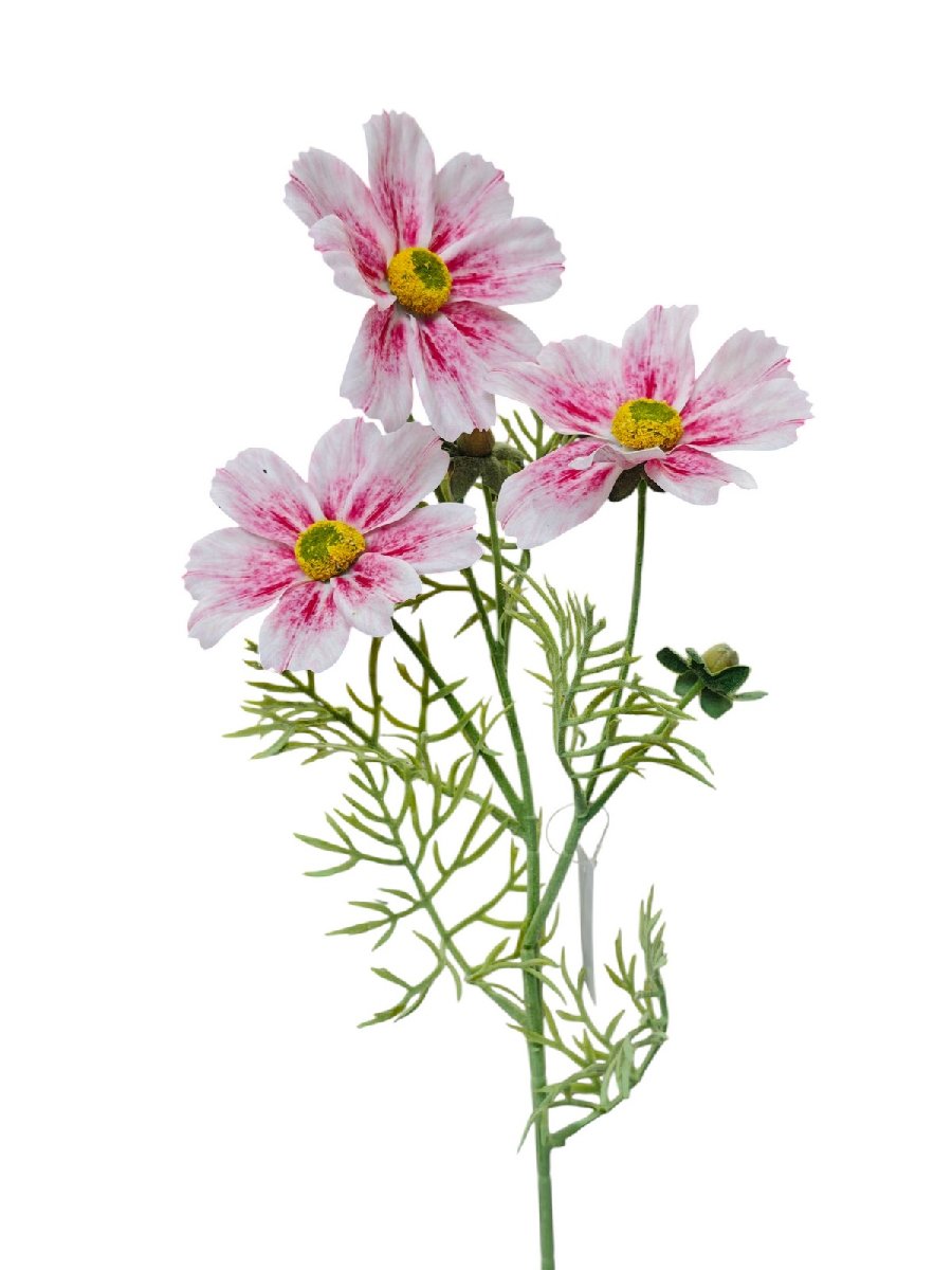 Космея FL-QH091  Интернет-магазин Feron Flower 