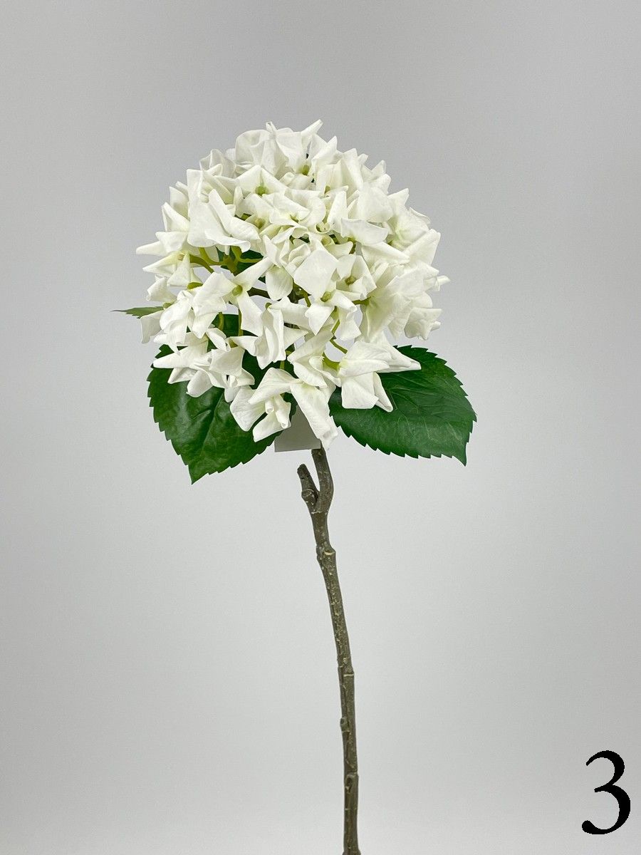 Гортензия PIO-107  Интернет-магазин Feron Flower 