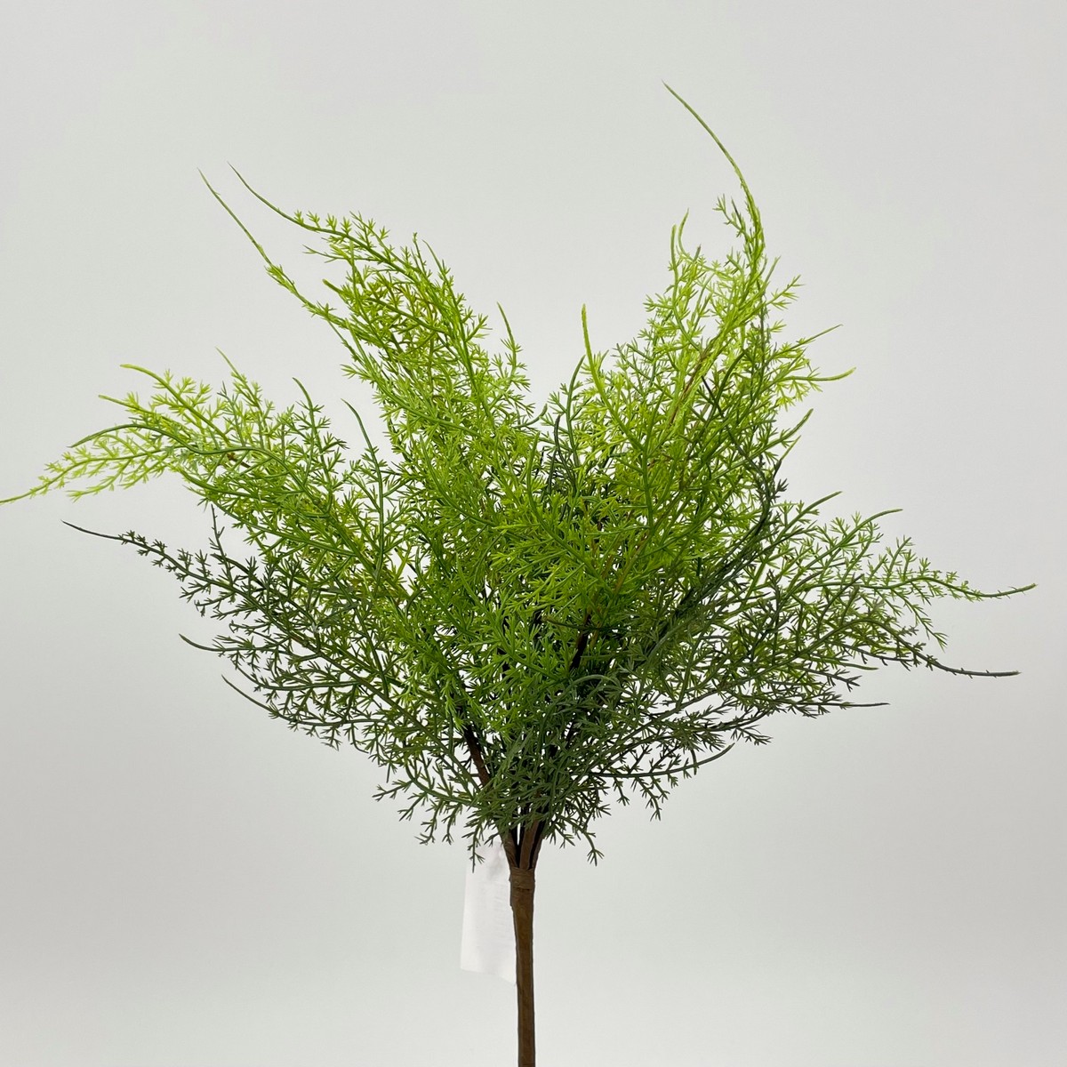 Папоротник QYBS2396-15  Интернет-магазин Feron Flower 