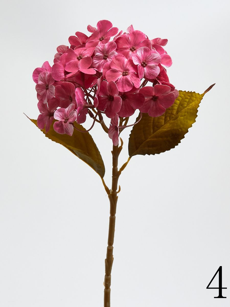 Гортензия K04234  Интернет-магазин Feron Flower 