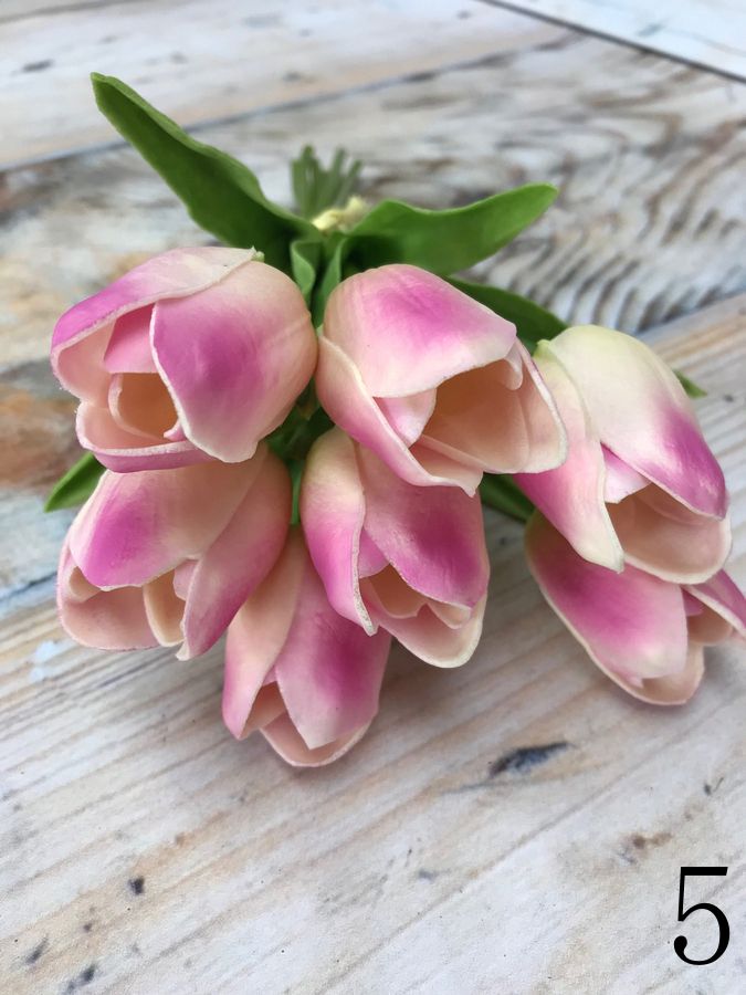 Тюльпан 81CAN056  Интернет-магазин Feron Flower 