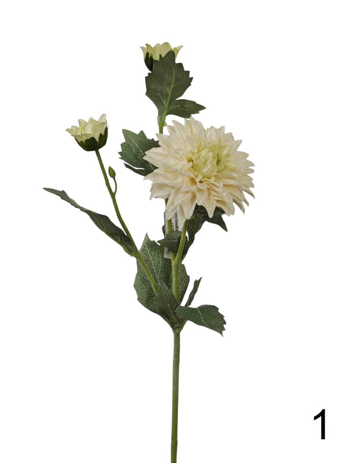 Георгин FL-QH119  Интернет-магазин Feron Flower 