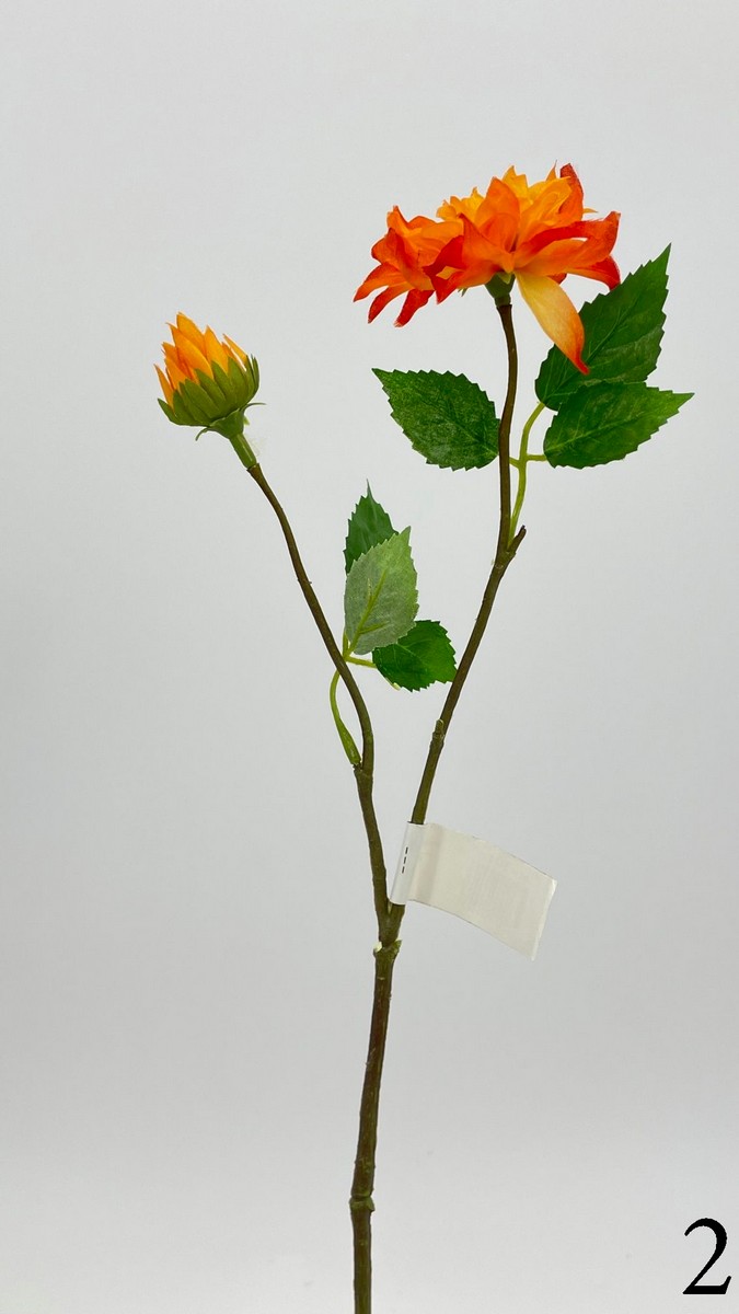 Далия 542345  Интернет-магазин Feron Flower 