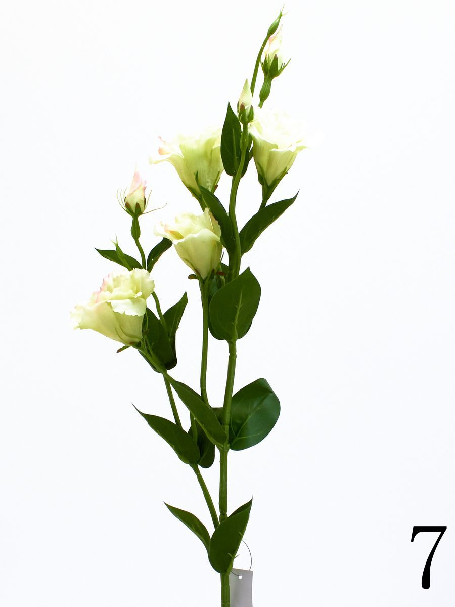 Эустома SUN345  Интернет-магазин Feron Flower 