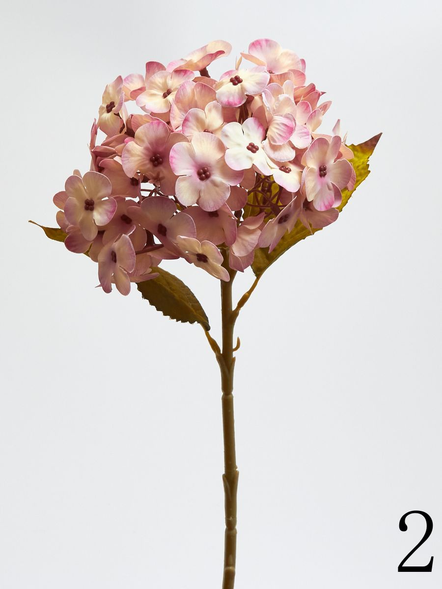 Гортензия K04234  Интернет-магазин Feron Flower 