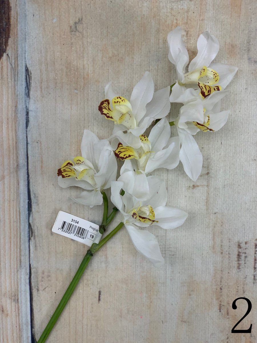 Орхидея 3106  Интернет-магазин Feron Flower 