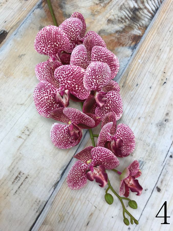 Орхидея K03765  Интернет-магазин Feron Flower 