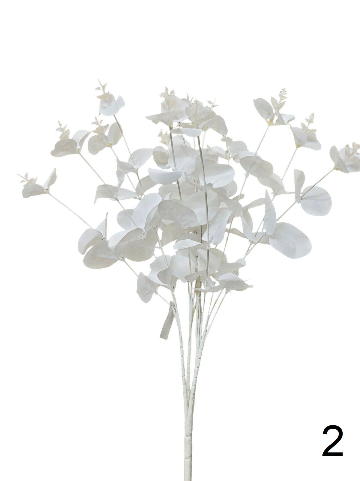 Эвкалипт 0016-1289  Интернет-магазин Feron Flower 