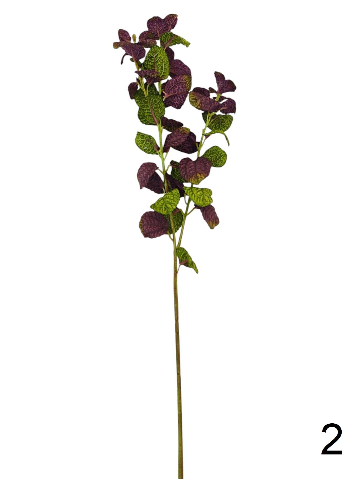 Базилик 9144-2  Интернет-магазин Feron Flower 