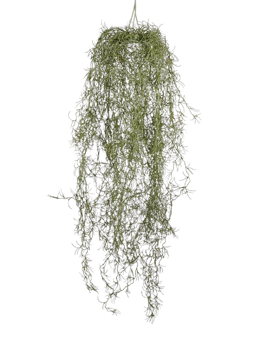 Тилансия 9165-1101  Интернет-магазин Feron Flower 