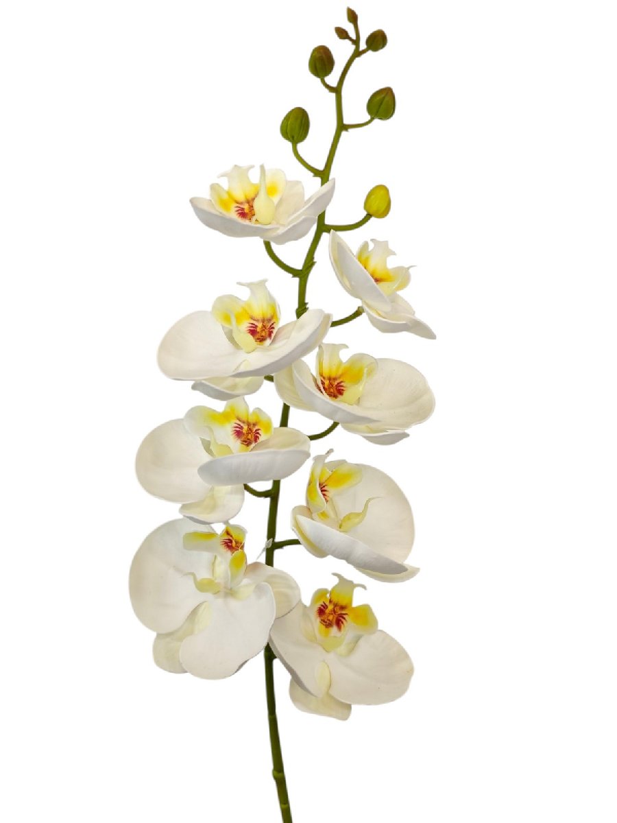 Орхидея  9144-11  Интернет-магазин Feron Flower 