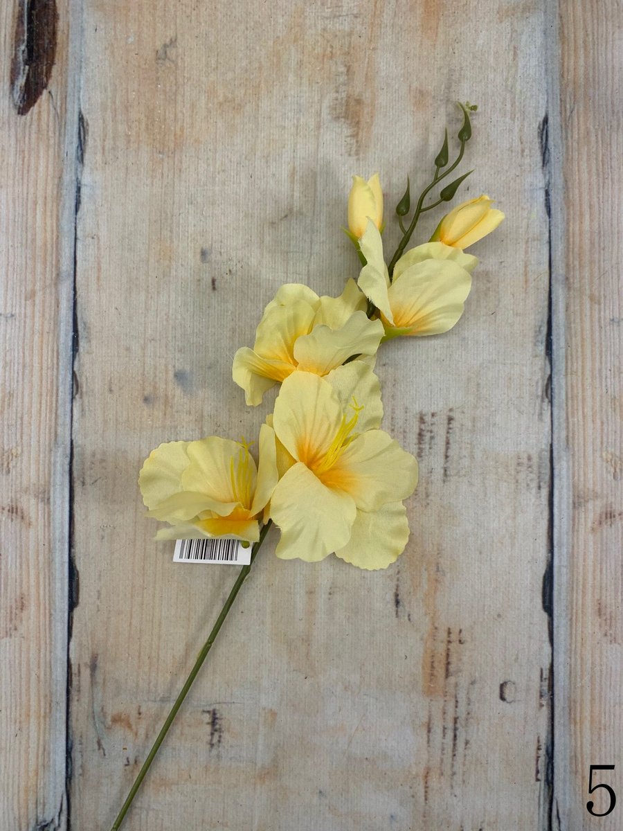 Гладиолус 2630  Интернет-магазин Feron Flower 