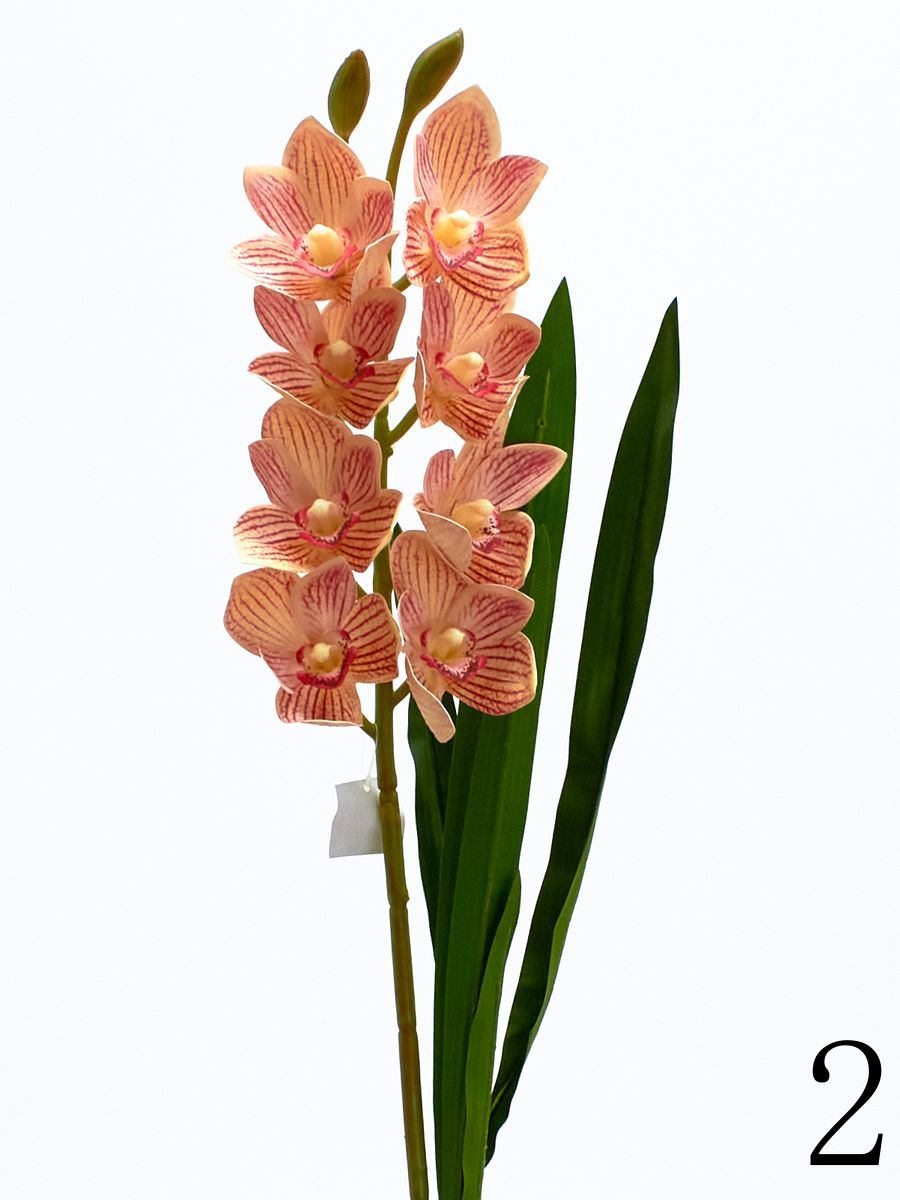 Орхидея K03977  Интернет-магазин Feron Flower 