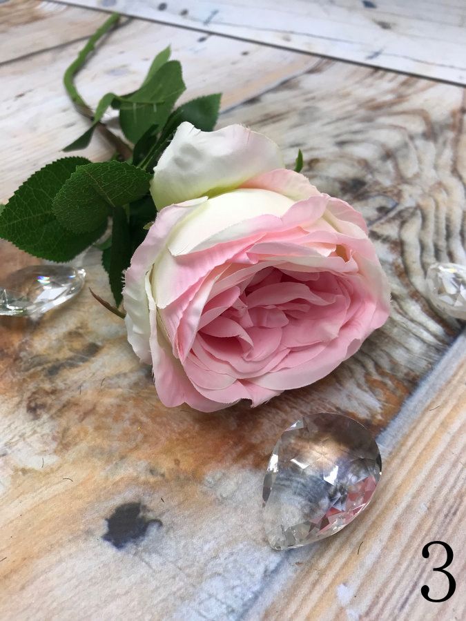 Роза SUN520  Интернет-магазин Feron Flower 