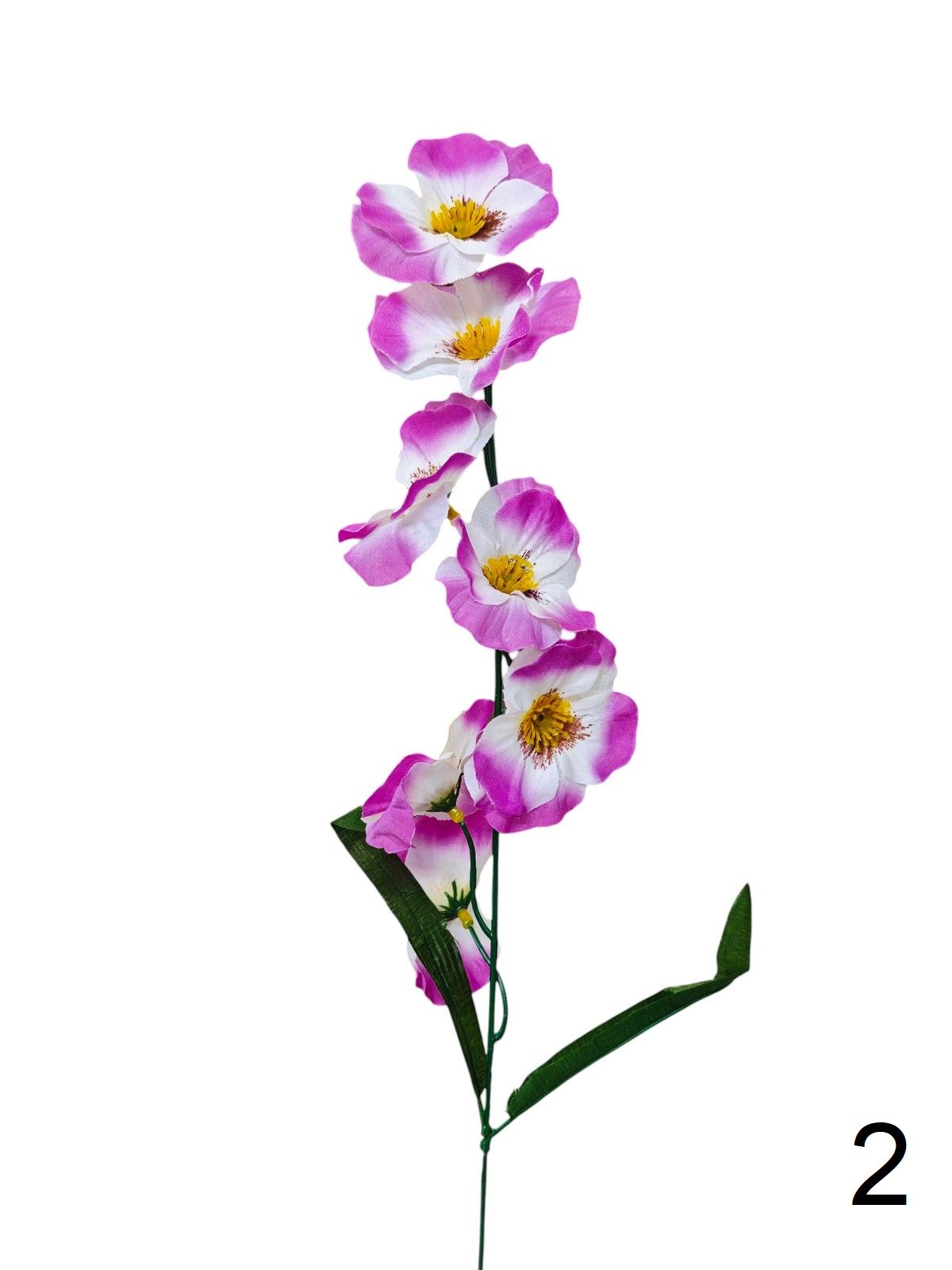 Фиалка K023E  Интернет-магазин Feron Flower 