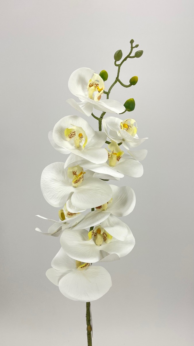 Орхидея FL-QH027  Интернет-магазин Feron Flower 
