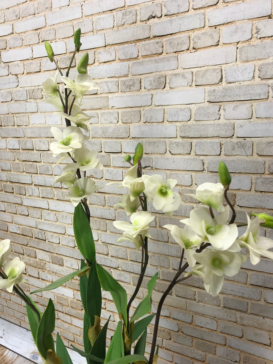 Орхидея в горшке 3544  Интернет-магазин Feron Flower 