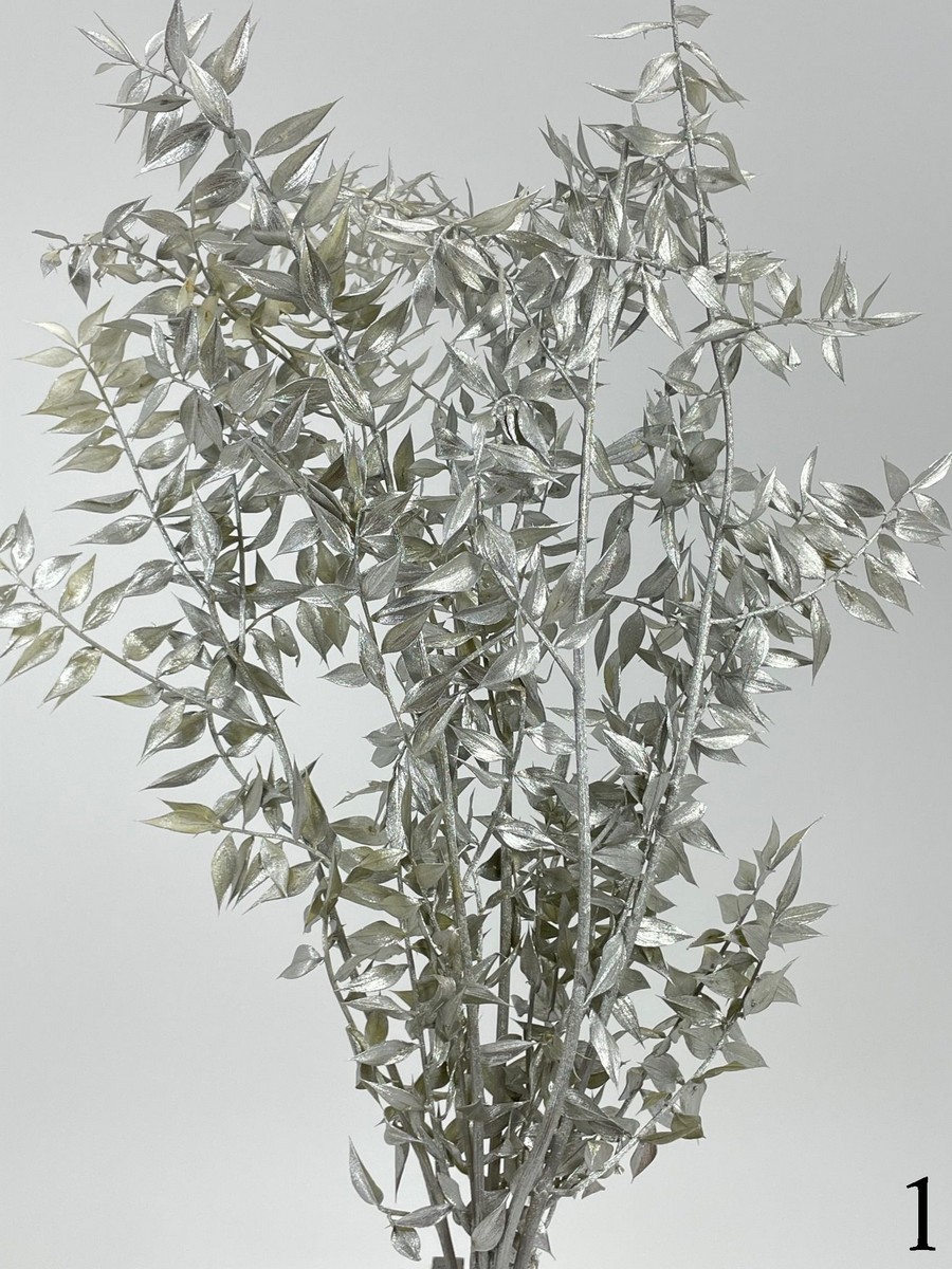 Рускус пучок 5-6 шт. 20gr   Интернет-магазин Feron Flower 