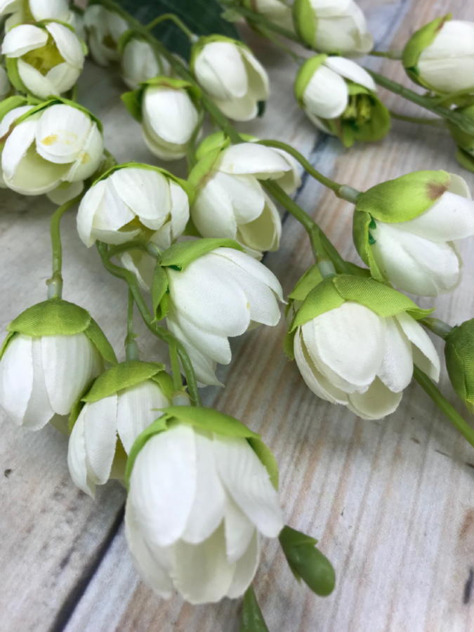 Ранункул KWLA054B  Интернет-магазин Feron Flower 