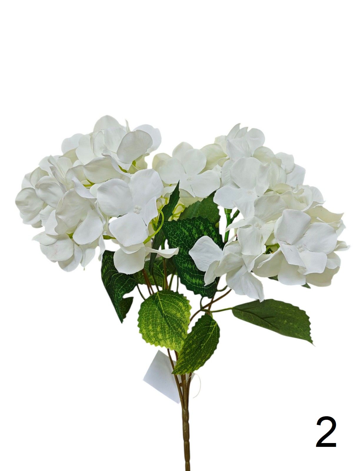 Гортензия 0016-1292  Интернет-магазин Feron Flower 