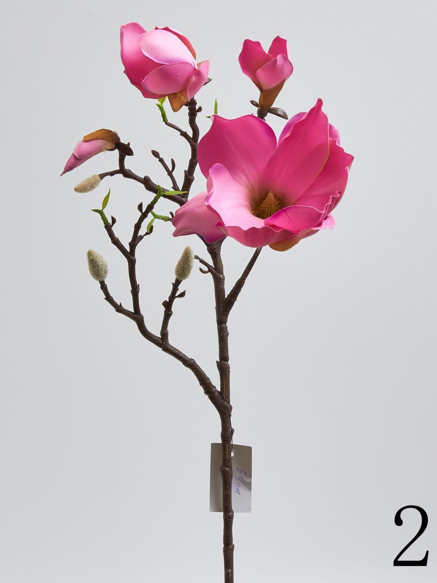 Магнолия SUN404  Интернет-магазин Feron Flower 